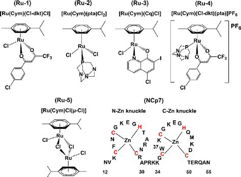 Recent advances and application of ruthenium complexes in .